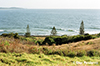 Lennox Head Spring, 35mm ©Cher Pendarvis